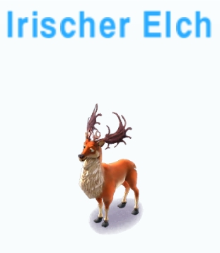 Irischer Elch     